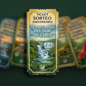 E-book <br> Territorio